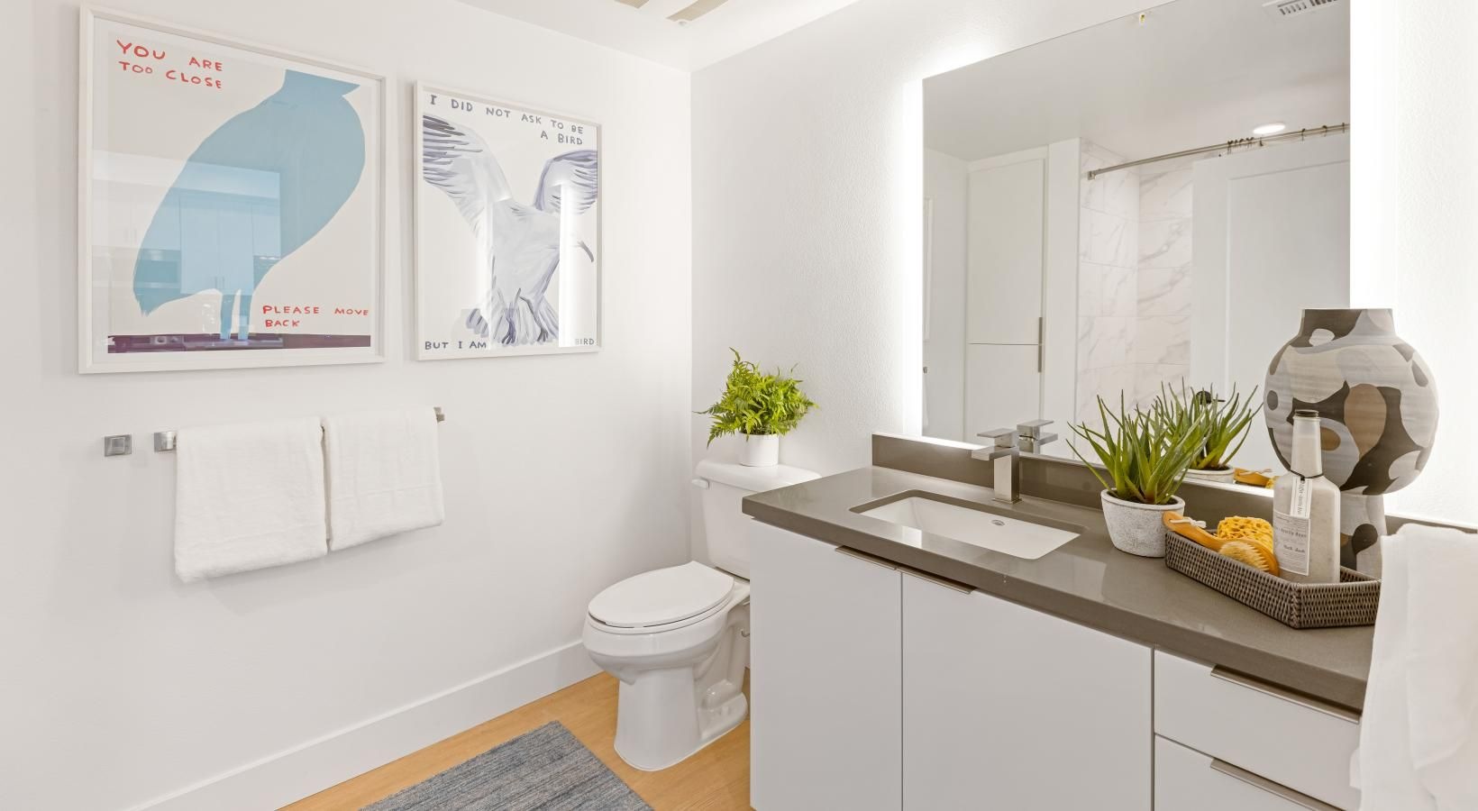Bathroom options with thoughtful details a bathroom with a sink toilet and a mirror